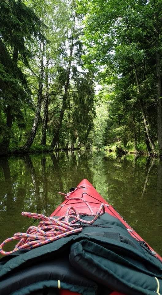 Spływy kajakowe
